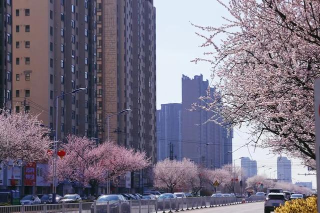 “动”“静”两相宜～颜值天花板～