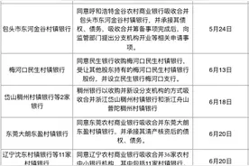 深度丨18年发展从扩张到收缩，1600家村镇银行的选择图片