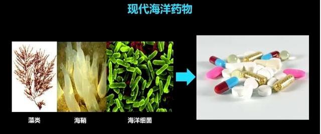 烧伤后喝花胶能帮助皮肤生长吗 2026年烧伤后喝花胶能帮助皮肤生长吗图