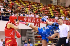 2024年全国武术散打锦标赛 塔沟武校荣获10金10银11铜图片