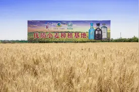 古井贡酒：以绿色酿造赋能白酒产业“零碳未来”图片