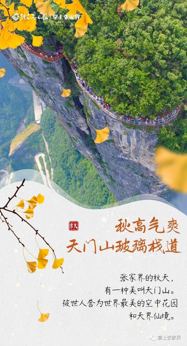 周末去哪玩丨跟着湘超株洲队，领略张家界的秋韵