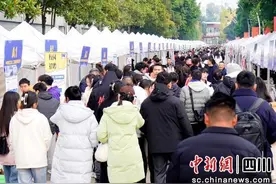 四川城职院：120多家用人单位进校园招聘图片