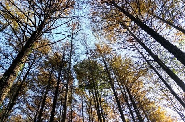 高光频现，火爆出圈！就在巢湖这里…