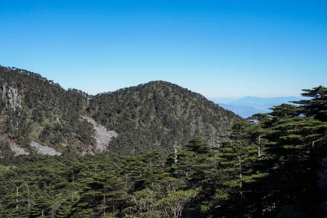 重阳登高，来大理赏秋