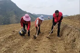 赋能“春耕”  广西移动助力培育农业新质生产力图片