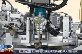 3秒完成一株 嫁接存活率达99%！种苗嫁接机器人“上岗”图片