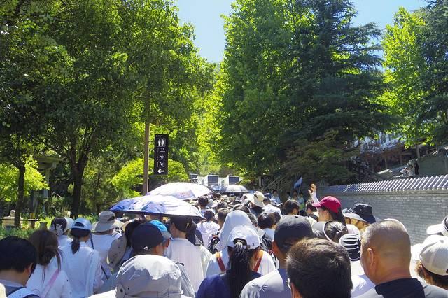 我的自驾：独驾三晋秦韵——从壶口惊涛到龙城灯火的千里长歌
