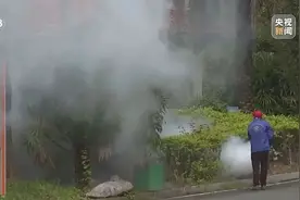 7天新增2892例，广东全省灭蚊中！提醒：室内或藏蚊子“产房”，发现幼虫别倒下水道图片