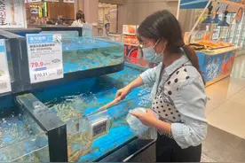 首批“山城海虾”上市  海鲜陆养将是水产养殖发展大方向图片