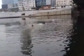 “我们是警察，现在就救你上去！”落水女子被成功营救上岸图片