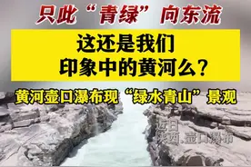 黄河壶口瀑布现“绿水青山”景观图片