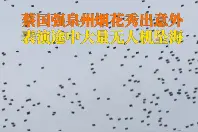 紫牛热点｜福建泉州烟花表演时大量无人机坠落，当地警方：相关部门正在核实图片
