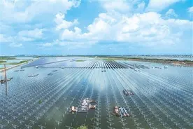 渔光互补（侨乡新貌）图片