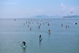 最新开放时间表出炉！小梅沙海洋世界国庆与市民见面图片