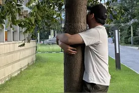（申城风景线）从拥抱树木中获取“能量” 沪上年轻人迷上解压新招图片