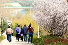 清明节假期出游 有些事项要特别注意图片