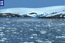 2024年为有记录以来最热年图片