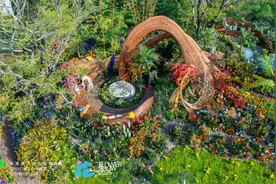 2025粤港澳大湾区花园大赛28日开幕，双会场共襄“百年之约”图片