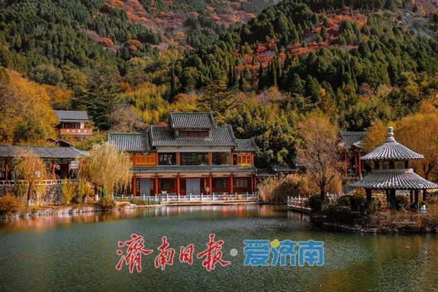 济南红叶谷：满山红遍燃秋意，层林尽染醉游人