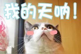 警惕！“航空公司”来电，骗走她10万元！图片