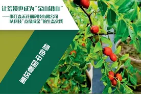 让荒漠也成为“金山银山”——浙江森禾花丽科技有限公司以科技“点绿成金”的生态实践图片
