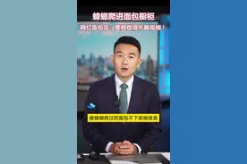 蟑螂爬进面包橱柜 网红面包店：要赔偿先删视频！图片