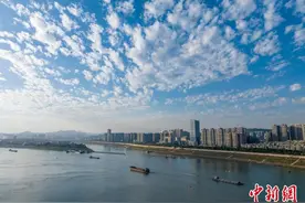 广西梧州：一江碧水 城水相融图片