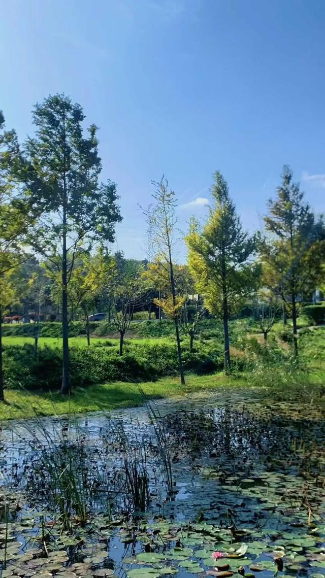 在苏家理想村，一场乡野游乐集正等你赴约