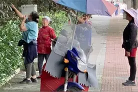危险！绿化带里的“菜”吃不得图片