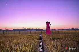 大地仓廪实 丰景美如画图片