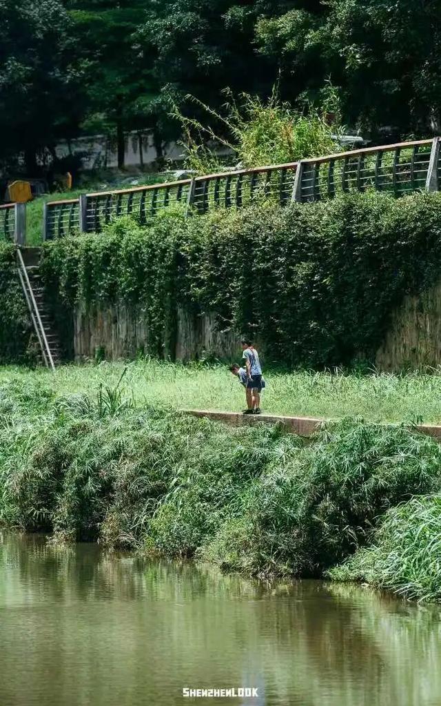 “接下来深圳这个地方，是粉色的”