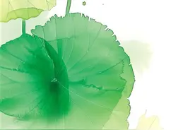 小暑：避暑养阳 健康入伏（二十四节气里的中医养生之道）图片