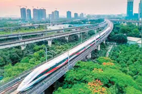 乘高铁到岭南赏花图片