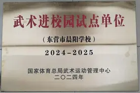 东营市晨阳学校荣获“全国武术进校园试点单位”称号图片