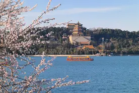 北京市属公园春花盛宴持续至5月，最佳赏花时间和点位来了图片