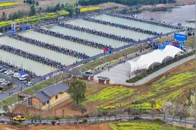 做好水文章，沙洋钓鱼“村超”激活新质生产力图片