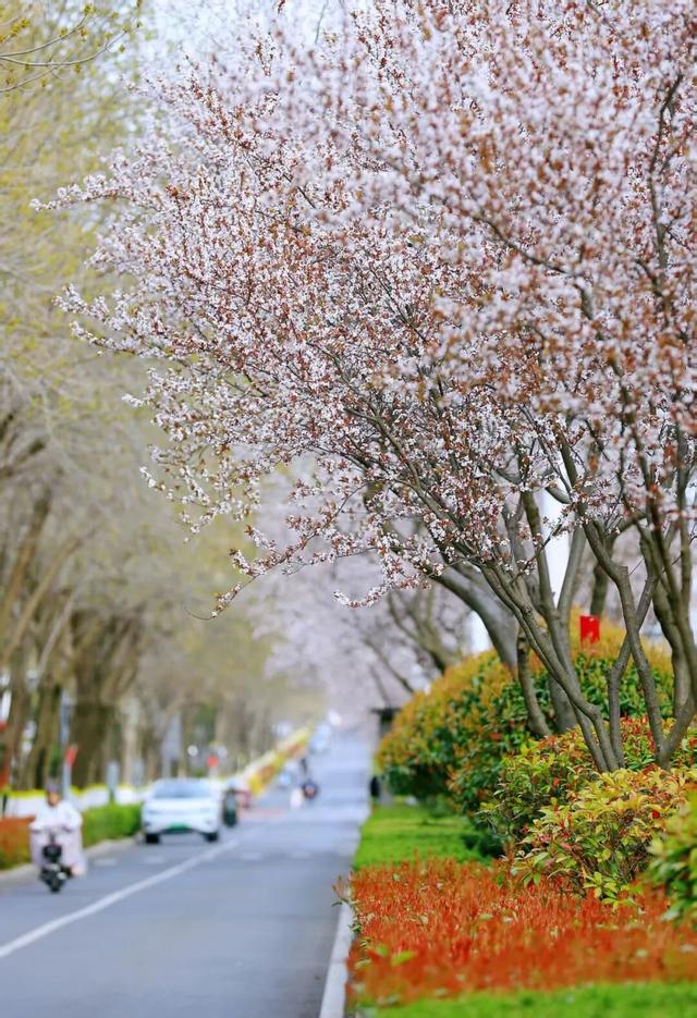 接下来的日照，是这样的…