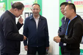 藏北牦牛，承载生活与文明的故事图片