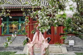 赏海棠花开，2025海棠诗会亮相西城图片