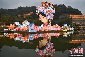 2025年粤港澳大湾区灯会在广州南沙点亮图片