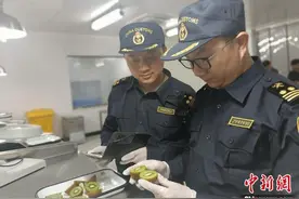 今年浙江台州大麦屿口岸首船当季新西兰猕猴桃进境图片