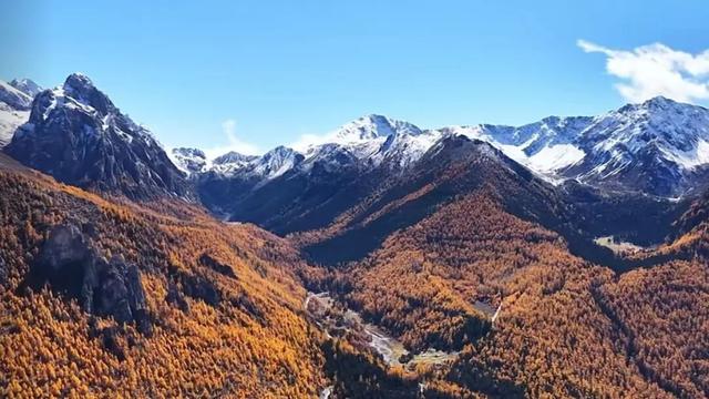 它都这么美了！差点忘记推给你了