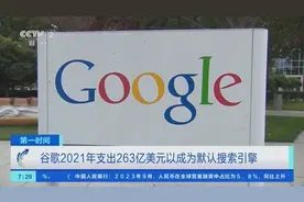非法维持垄断地位！谷歌为成默认搜索引擎2021年支出1924亿元图片