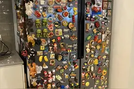 滨州市面新型冰箱占比多 市民 “冰箱贴情节”无处安放图片