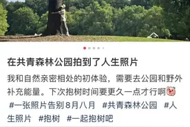 阿姨爷叔看不懂，年轻人又来“抢树”了？有兴趣小组9月在上海还要办抱树比赛图片