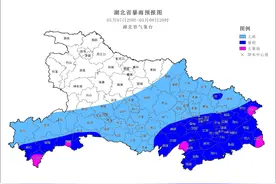 湖北省气象台发布暴雨黄色省级预警，荆州有大到暴雨图片
