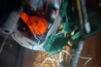 浙江海宁：电捕鱼过把瘾？“电网”进“法网”不可取！图片