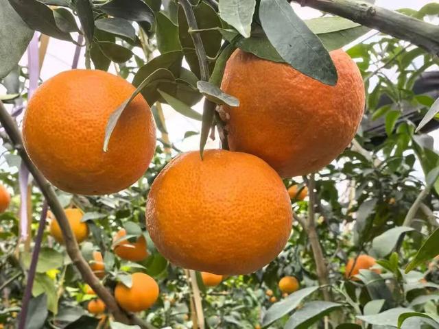 游玩、体验、美食、购物…一站式玩转→