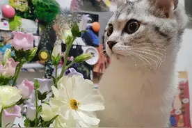 教育部发文：学校隐蔽场所要监控全覆盖 校园霸凌不是“闹着玩”｜有一说一图片